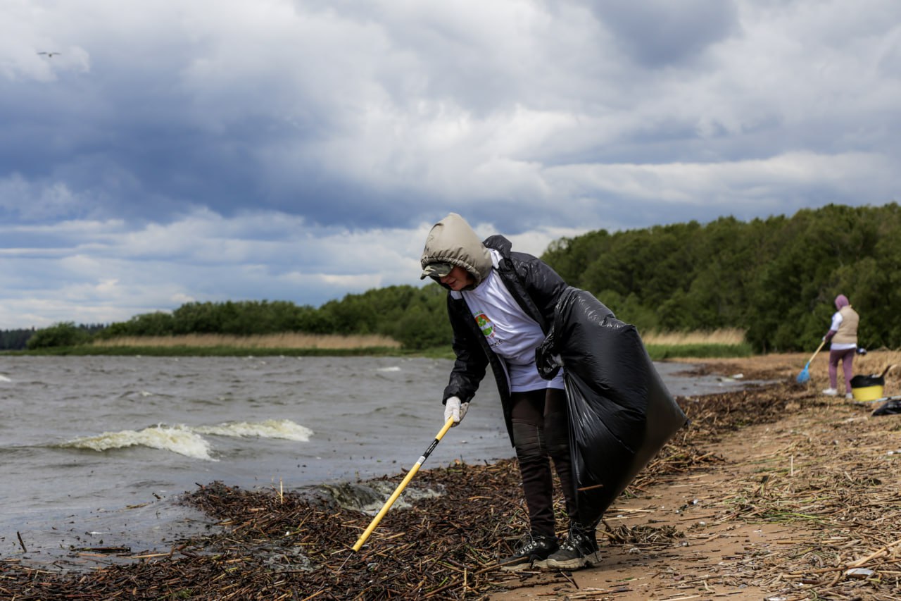 Сотрудники Страховой Компании «Гелиос» очистили бухту Финского залива и помогли нерпам