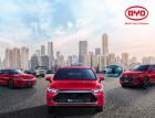 Поддерживаемая Уорреном Баффетом китайская BYD обогнала конкурентов по продажам электромобилей