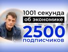 «1001 секунда об экономике»: новый канал растет