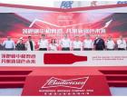 Пивоваренный гигант Budweiser APAC за 9 месяцев увеличил прибыль до $872 млн