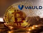 Криптолендинговая платформа Vauld приостанавливает вывод средств на фоне краха рынка цифровых валют