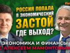 Торможение экономики России, прогнозы и “катастрофисты”. Александр Широв - Алексей Мамонтов