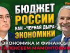 Бюджет России, курс рубля, дефицит товаров. Алексей Ведев - Алексей Мамонтов