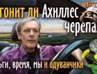 Догонит ли Ахиллес черепаху? Деньги, время, мы и одуванчики | Ян Арт. Finversia