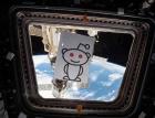 Акции Reddit резко упали из-за снижения числа активных пользователей