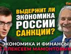 Выдержит ли экономика России санкции? Иван Тимофеев - Алексей Мамонтов