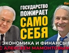 Государство пожирает само себя. Роберт Нигматулин - Алексей Мамонтов