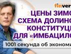 Цены на Новый год. “Схема Долиной”. Конституция для “имбацилов”. Экономика за 1001 секунду