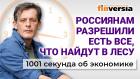 Российская экономика: чем лучше, тем хуже. Но грибы можно брать. Экономика за 1001 секунду