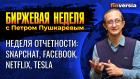 Неделя корпоративной отчетности: Netflix, Tesla, Snapchat, Facebook. / Петр Пушкарев