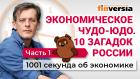 Экономическое чудо-юдо. 10 загадок экономики России. Часть 1.  Экономика за 1001 секунду