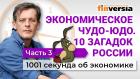 Экономическое чудо-юдо. 10 загадок экономики России. Часть 3. Экономика за 1001 секунду