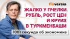 Жалко у пчелки. Рубль, рост цен и круиз в Туркменбаши. Экономика за 1001 секунду