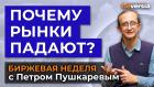 Почему рынки падают? Продолжится ли падение / Петр Пушкарев