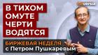 Биржа сегодня: в тихом омуте черти водятся / Петр Пушкарев