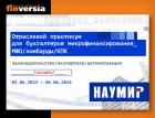 Онлайн-практикум НАУМИР на канале Finversia