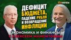 В чем проблемы экономики России и как их вылечить. Олег Вьюгин - Алексей Мамонтов