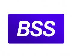 BSS против киберпреступности