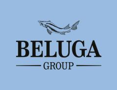 BELUGA GROUP объявила финансовые результаты за 2020 год