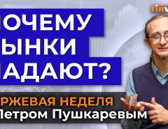 Почему рынки падают? Продолжится ли падение / Петр Пушкарев