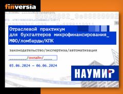 Онлайн-практикум НАУМИР на канале Finversia