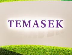 Temasek планирует в США инвестиции объемом до $30 млри