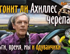 Догонит ли Ахиллес черепаху? Деньги, время, мы и одуванчики | Ян Арт. Finversia