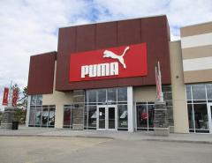 Акции Puma подскочили на фоне слухов о продаже доли семьи Пино