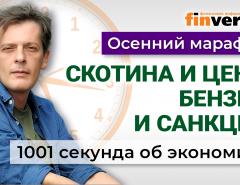 Курсу рубля прочат падение. Цены на бензин. Нефть. Санкции. Экономика за 1001 секунду