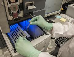 FDA отказало Scholar Rock в одобрении препарата от мышечной недостаточности