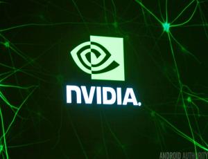 Nvidia опасается роста конкуренции