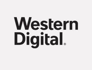 Western Digital и Kioxia ведут переговоры о слиянии