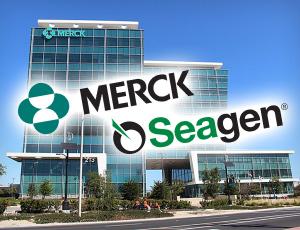 Merck ведет переговоры о покупке Seagen за $40 млрд