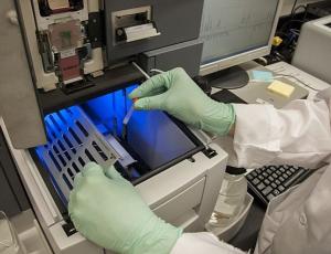 FDA отказало Scholar Rock в одобрении препарата от мышечной недостаточности